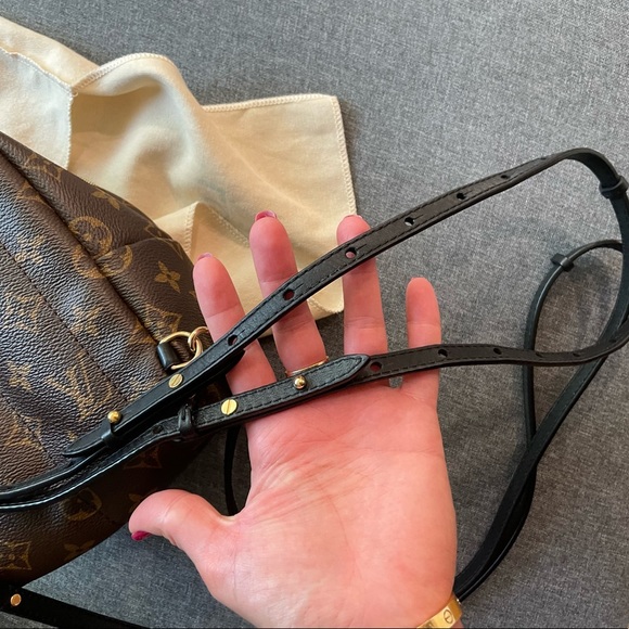 Louis Vuitton mini Palm Springs - Picture 7 of 15